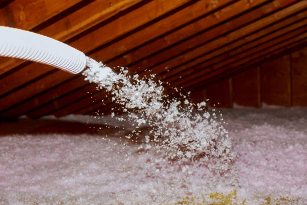 Best Wall Insulation Contractor  in , OK