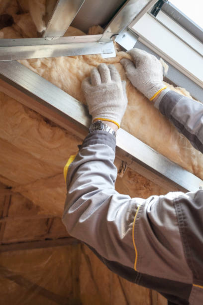 Best Insulation Inspection Services  in , OK