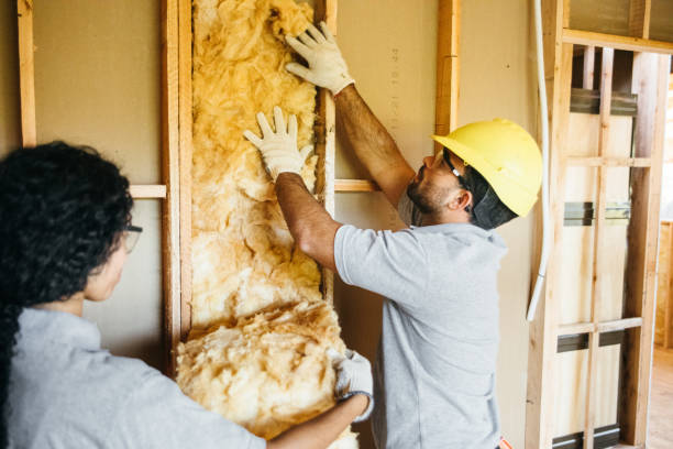 Best Insulation Contractors for Homes  in , OK