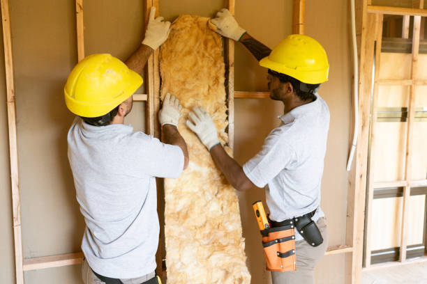 Best Insulation Inspection Services  in , OK