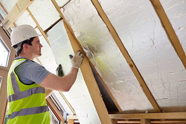 Best Attic Insulation Installation  in , OK