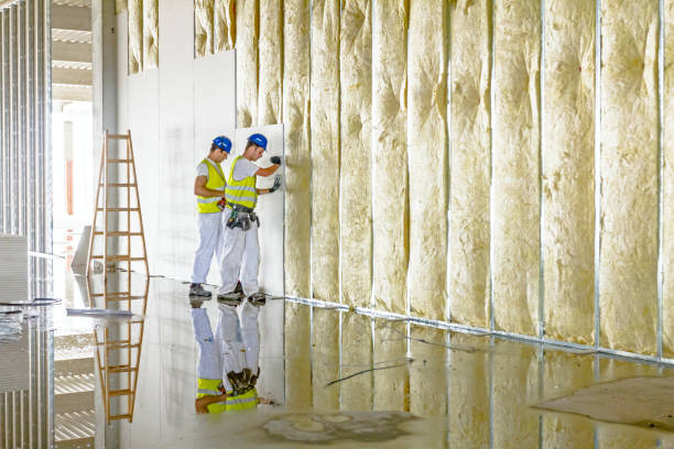 Best Insulation Inspection Services  in , OK